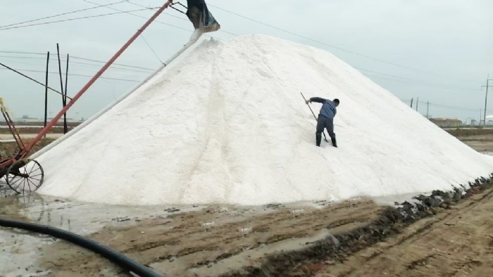 長(zhǎng)蘆公司秋扒工作順利開(kāi)啟